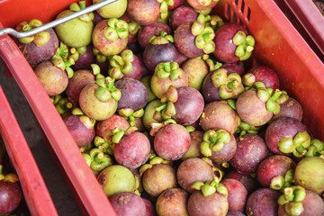 Close-Up View of Group of Purple Mangosteens