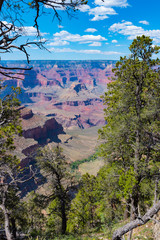 View of Grand Canyon - South Rim
