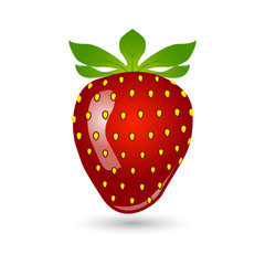 Strawberry. Vector illustration