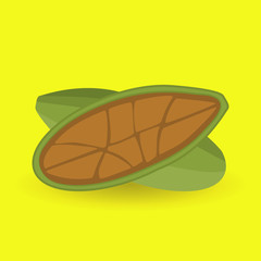 Granadilla. Exotic fruit. Sketch.