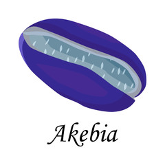fruit - akebia