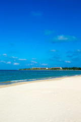 Fototapeta premium beautiful beach and tropical sea