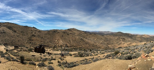 Joshua Tree landscape