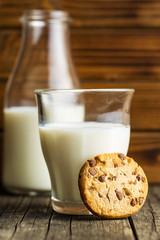 Tasty chocolate cookie.