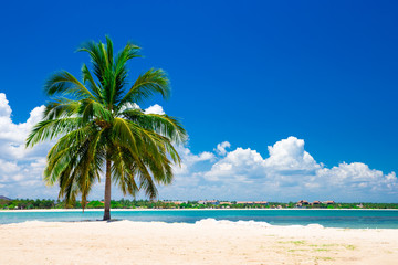 beautiful beach and tropical sea