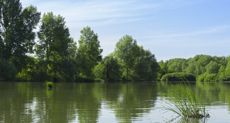A small lake in a field with trees on the shore