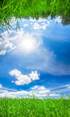 Fototapeta na wymiar panorama of beautiful summer sky and green field