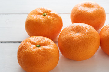 日本のフルーツ温州ミカン