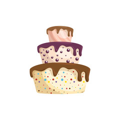 Delicious birthday cake icon vector illustration graphic design