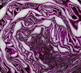 Obraz premium cut fresh purple cabbage