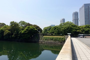 Fototapeta na wymiar 初夏の日本庭園