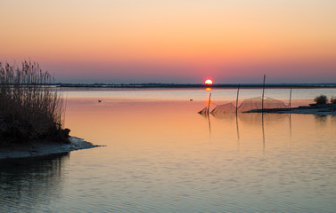 The  park of the river Po estuary