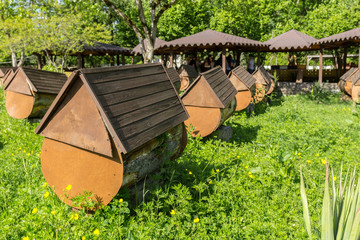 Hives with bees