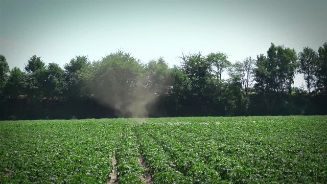 Wetterphänomen an heißen Tagen - Windwirbel auf Kartoffelacker
