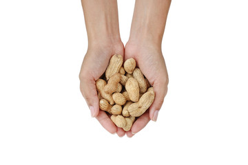 Hands holding peanuts in the shell isolated on white background.