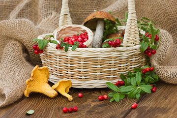 Lingonberries and mushrooms in the basket. A beautiful composition of forest berries and mushrooms.