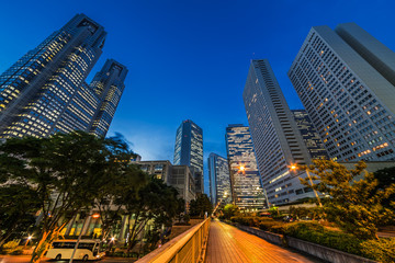 Fototapeta premium 都市の夜景