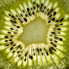 Beautiful slice of fresh juicy kiwi isolated