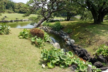 初夏の庭園
