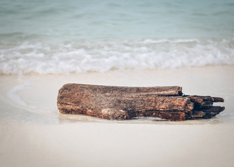 Broken logs on the beach