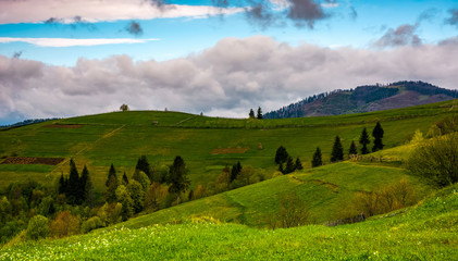 Obraz premium rural fields on hills on cloudy day