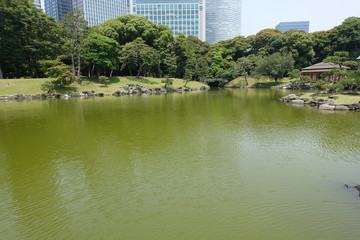 Fototapeta premium 初夏の庭園