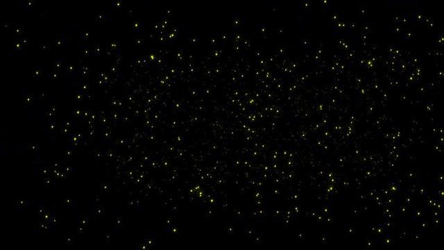 Looping Swarm of Isolated Fireflies At Night