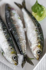 Fresh raw fish on wooden board. Background. From above