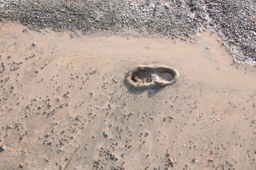 Размытие дорог след