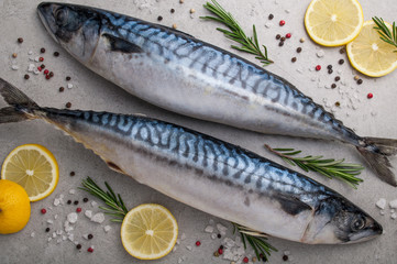 Fresh raw fish closeup. Mackerel with salt, lemon and spices on grey background. Cooking fish with herbs. Top view
