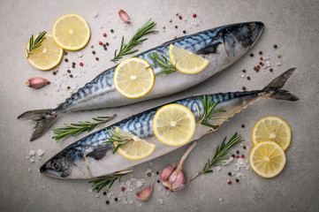 Fresh raw fish. Mackerel with salt, lemon and spices on grey background. Cooking fish with herbs. Top view