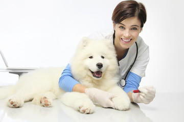 smiling veterinarian with dog in vet clinic, blood exam