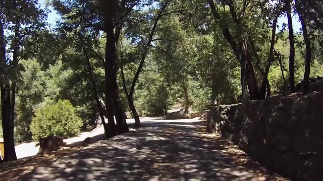 Camera Floats Down Forest Road