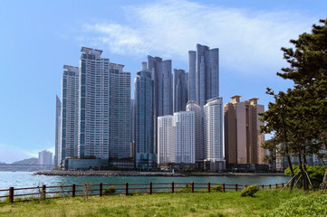 Fototapeta premium Busan skyscrapers in daylight