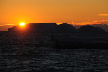 Icebergs in the evening light