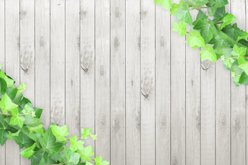 white wooden ivy background