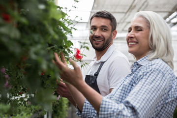 Fototapeta premium Mature happy woman standing in greenhouse near young bearded man