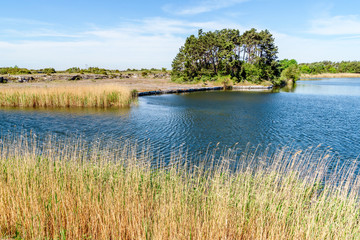 Naklejka premium Waterfilled limestone quarry turned into a recreational hiking area after mining operations closed. Location Oland in Sweden.