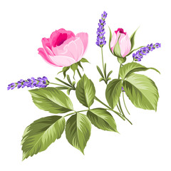 Fototapeta premium Wedding flowers bouquet of color bud garland. Label with rose and lavender flowers. Vector illustration.
