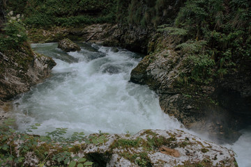 Beautiful nature. Vintgar gorge, Slovenia