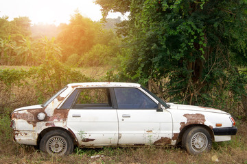 Old car parked in the jungle.