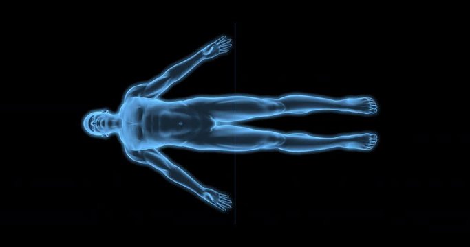 Male body scan concept / 3D animation of digital medical scanner plane moving through rotating male body in endless loop