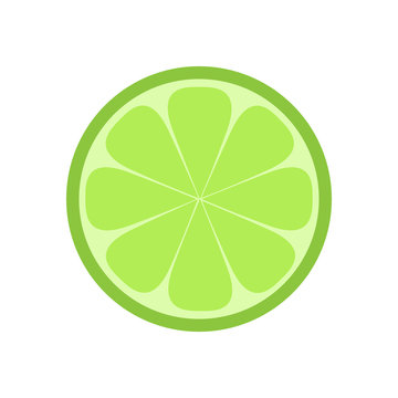 Green lime citrus fruit slice, lime flat vector illustration drawing, isolated on white background.