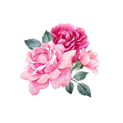Watercolor vector roses composition - obrazy, fototapety, plakaty