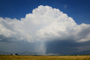 Obraz na płótnie Canvas Thunderstorm cloud with falling rain