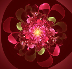 Pink fractal flower computer generated image