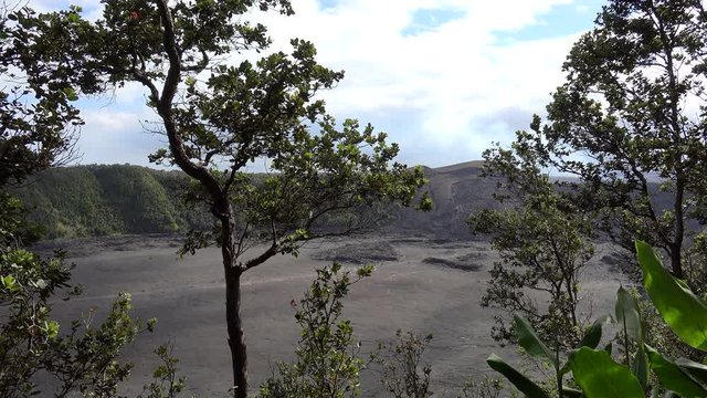 Kilauea Iki Crater with the solidified lava lake from the rim. Volcanoes NP, Big Island, Hawaii, USA
