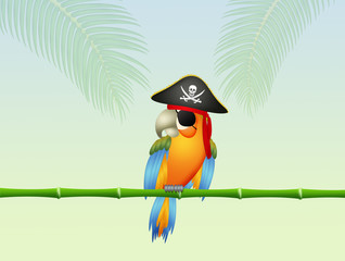 funny pirate parrot