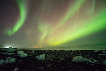 aurora borealis over black sand  beach and ice cubes, iceland.