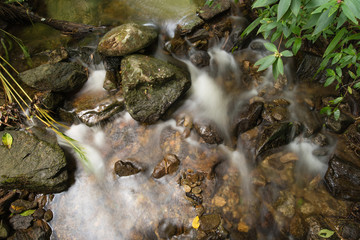 Obraz premium Mountain river flows through a huge number of stones in a forest.